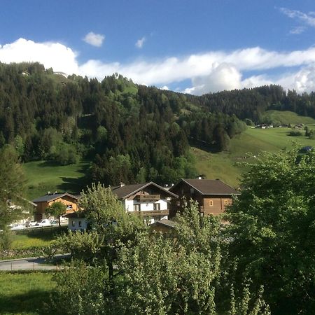 Kitzbuheler Alpen Penthouse Hollersbach Daire Hollersbach im Pinzgau Dış mekan fotoğraf